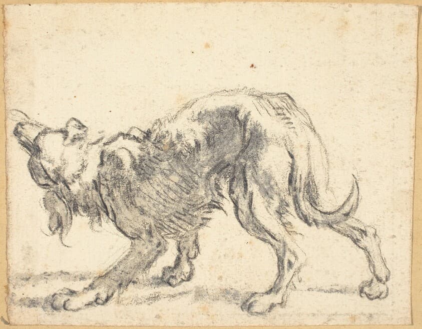 A Dog — Cornelis Saftleven