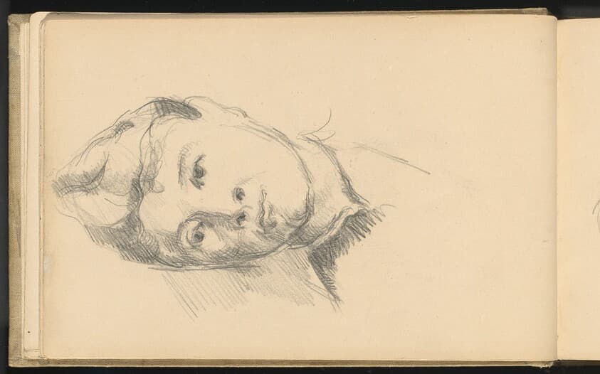 Madame Cezanne — Paul Cezanne