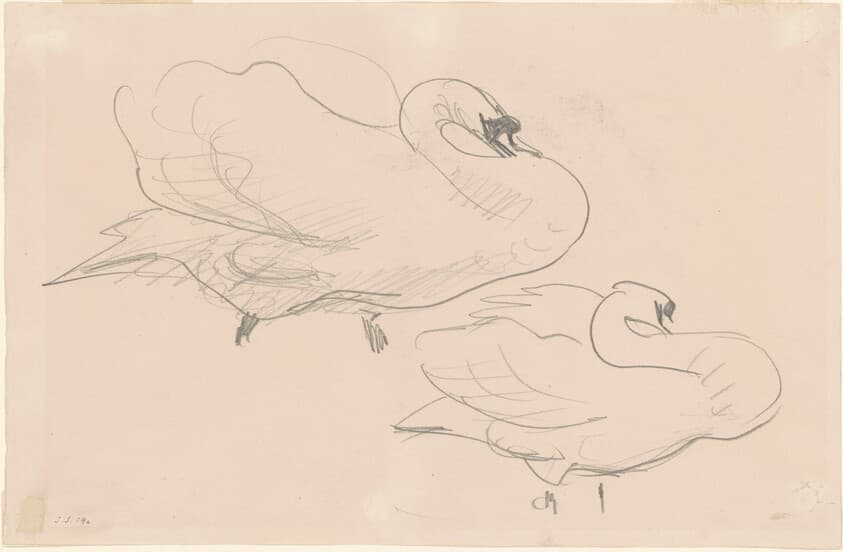 Studies of a Swan — John Singer Sargent