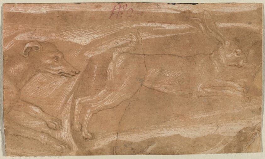 A Hound Chasing a Hare — Benozzo Gozzoli