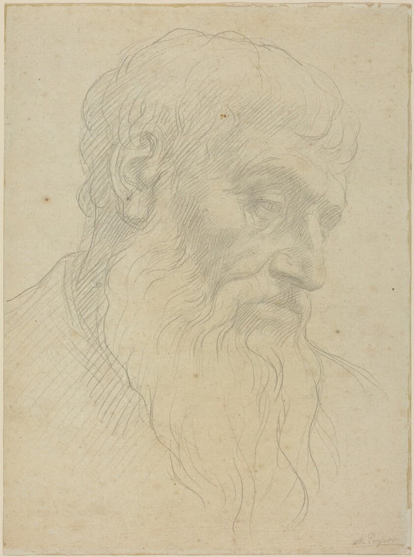 Study of a Head — Alphonse Legros