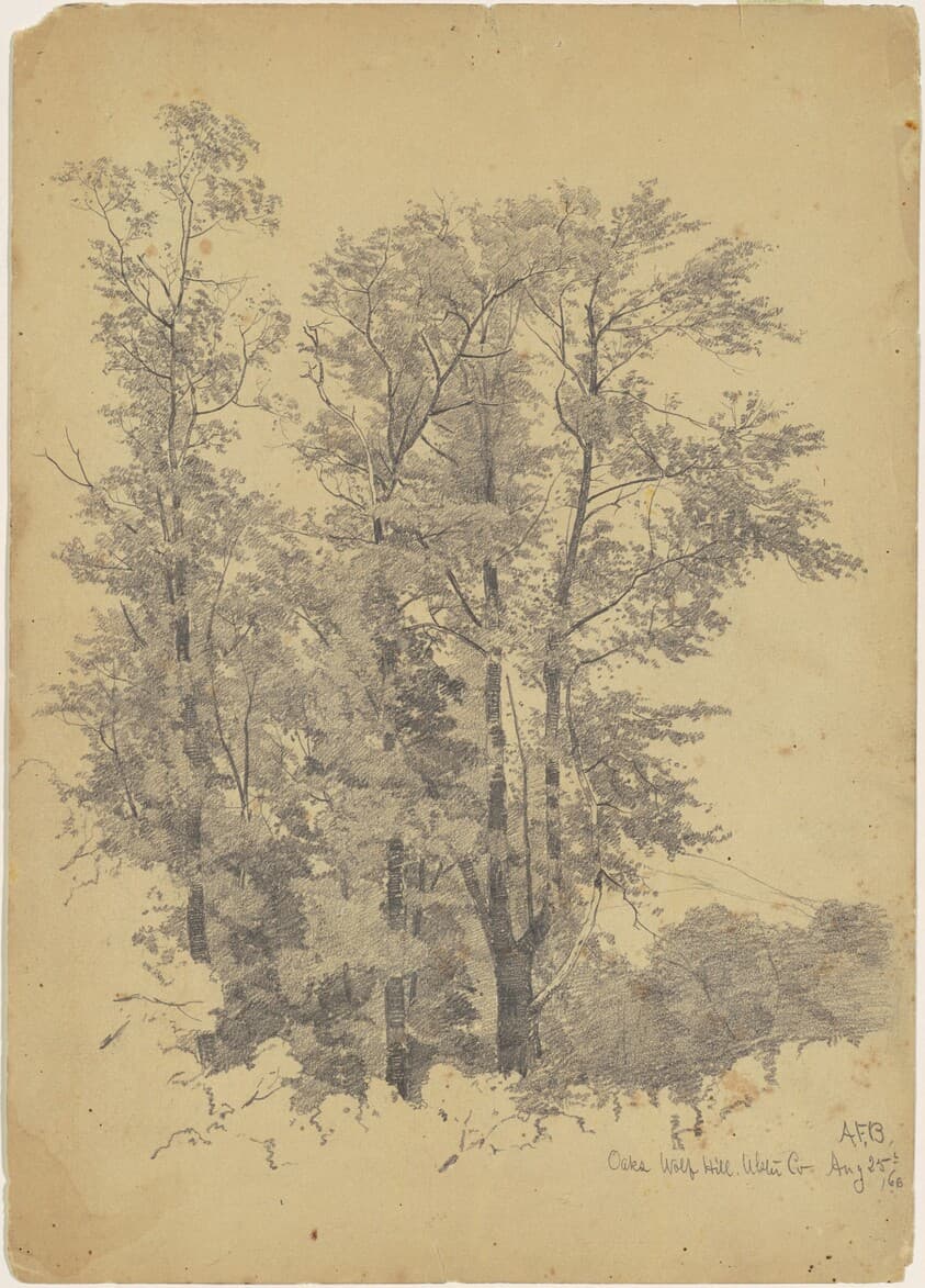 Oaks, Wolf Hill, Ulster County — Andrew Fisher Bunner