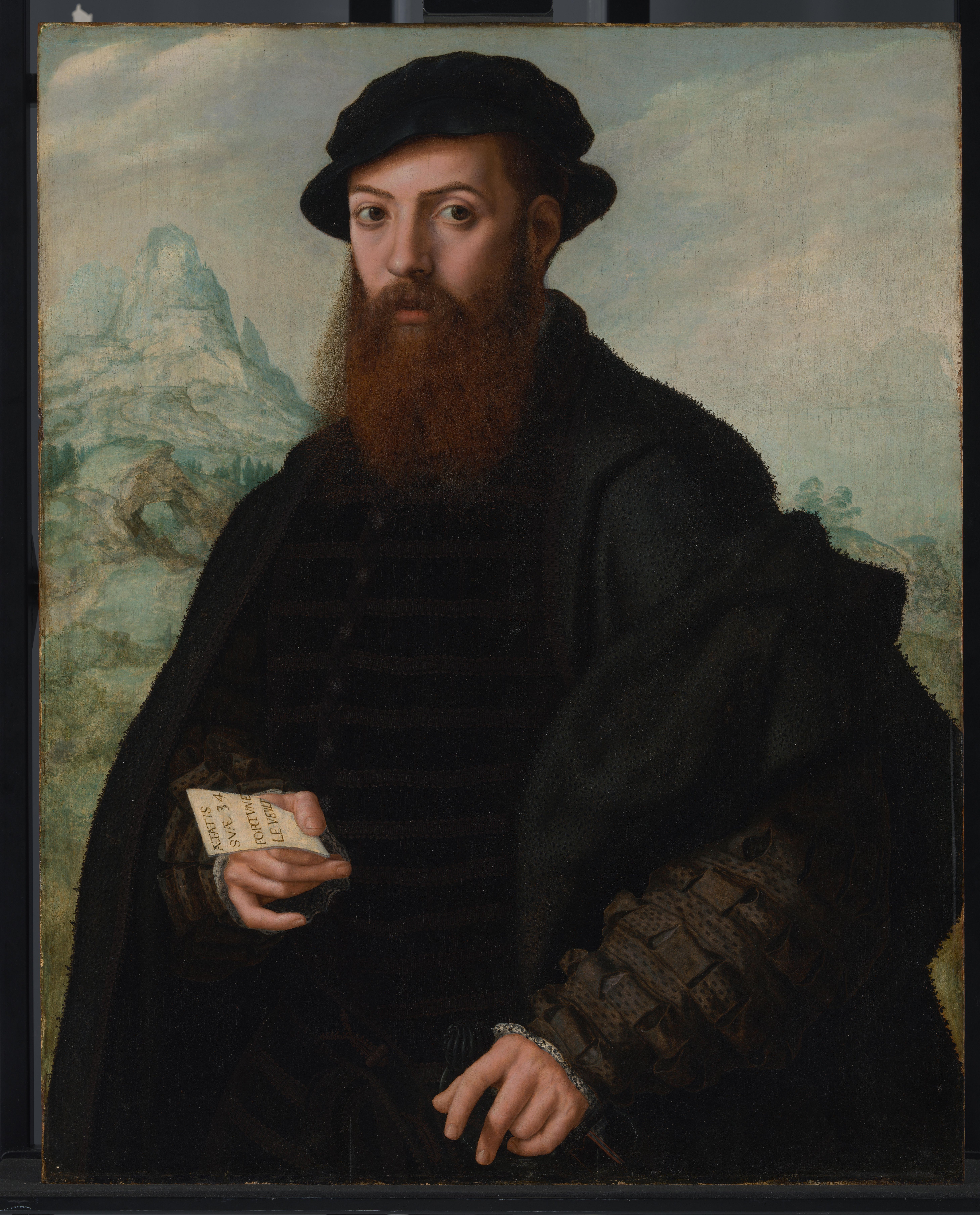 Portret van een man — Jan van Hemessen