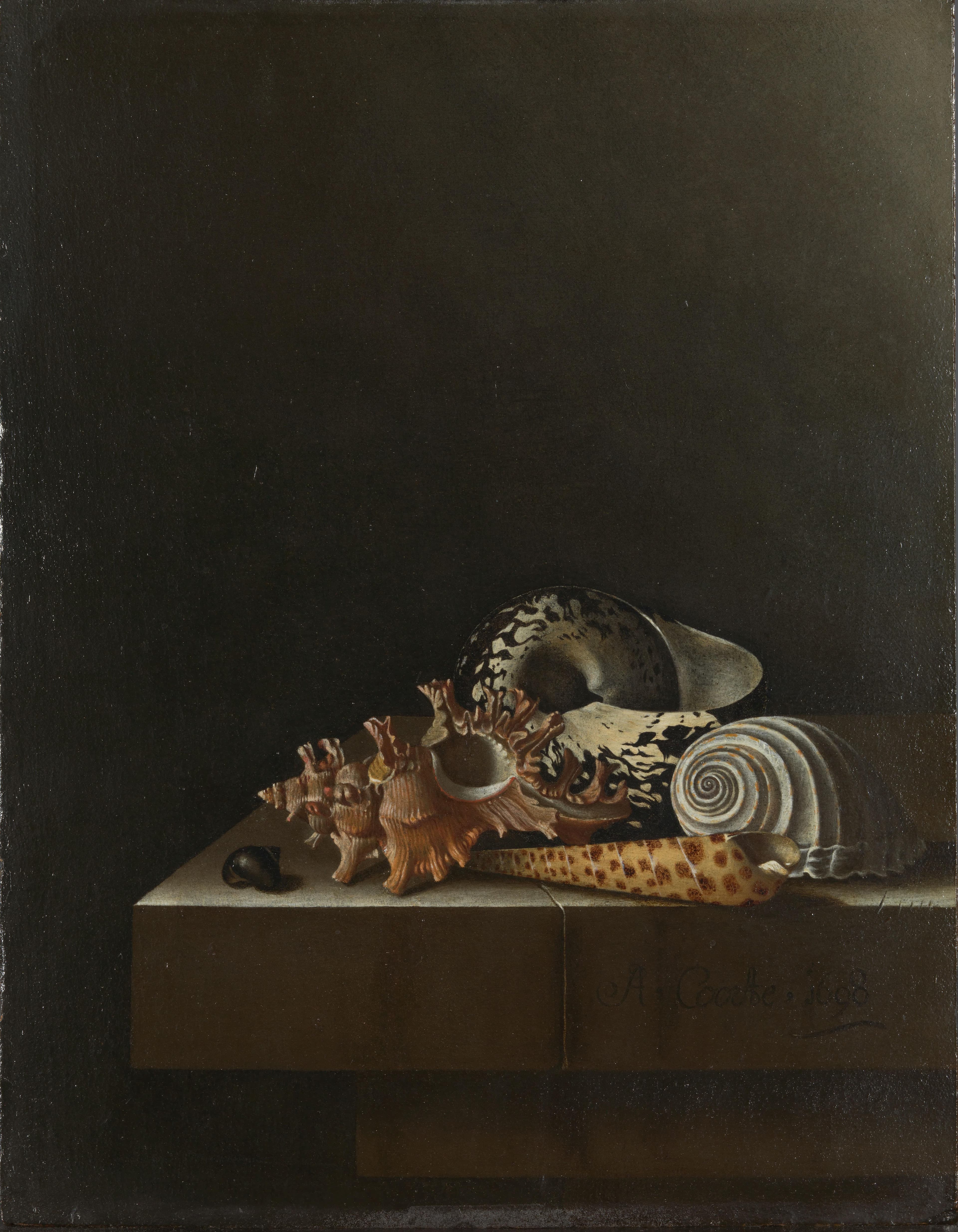 Schelpen op een stenen plint — Adriaen Coorte