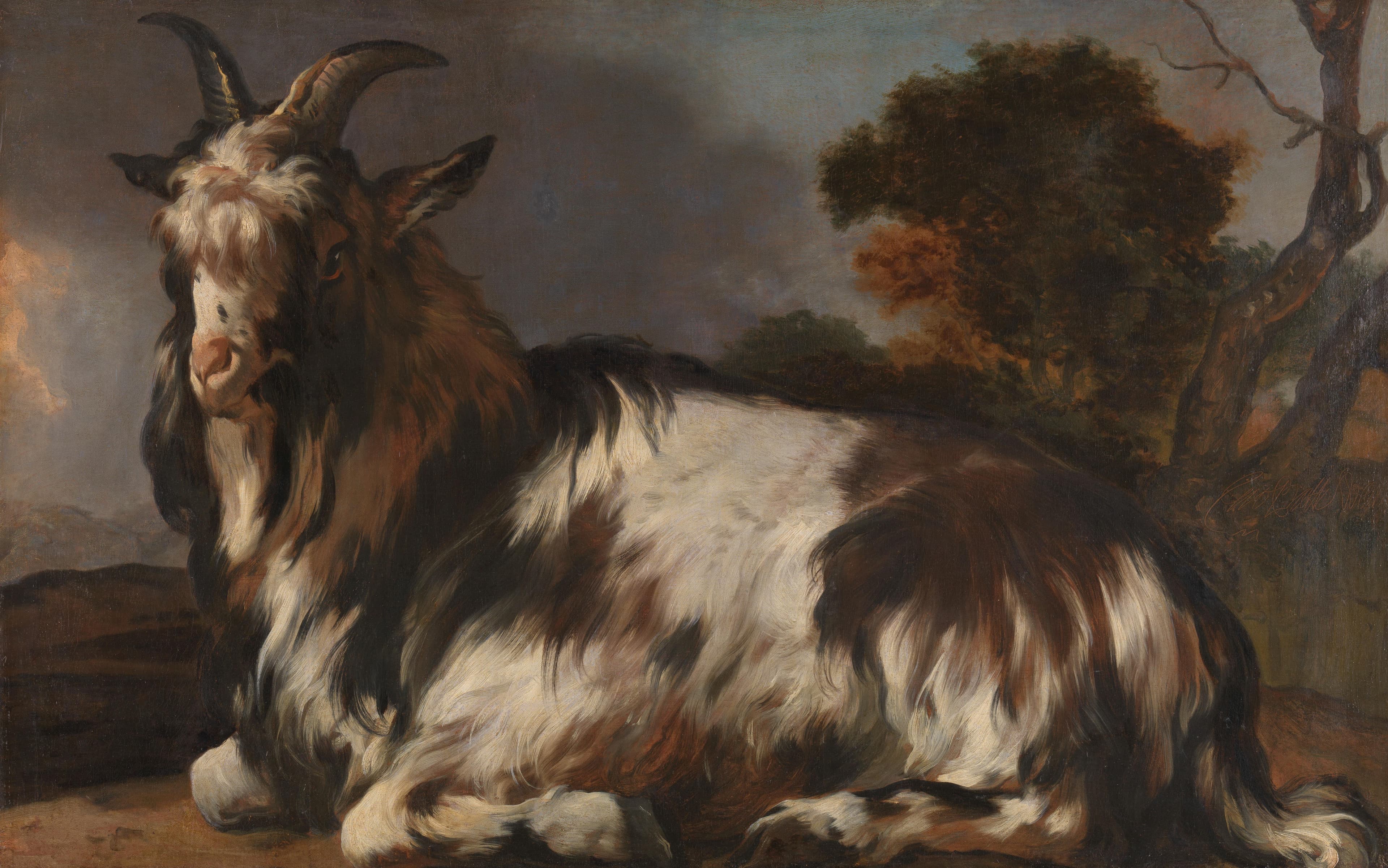 Liggende bok — Jan Baptist Weenix