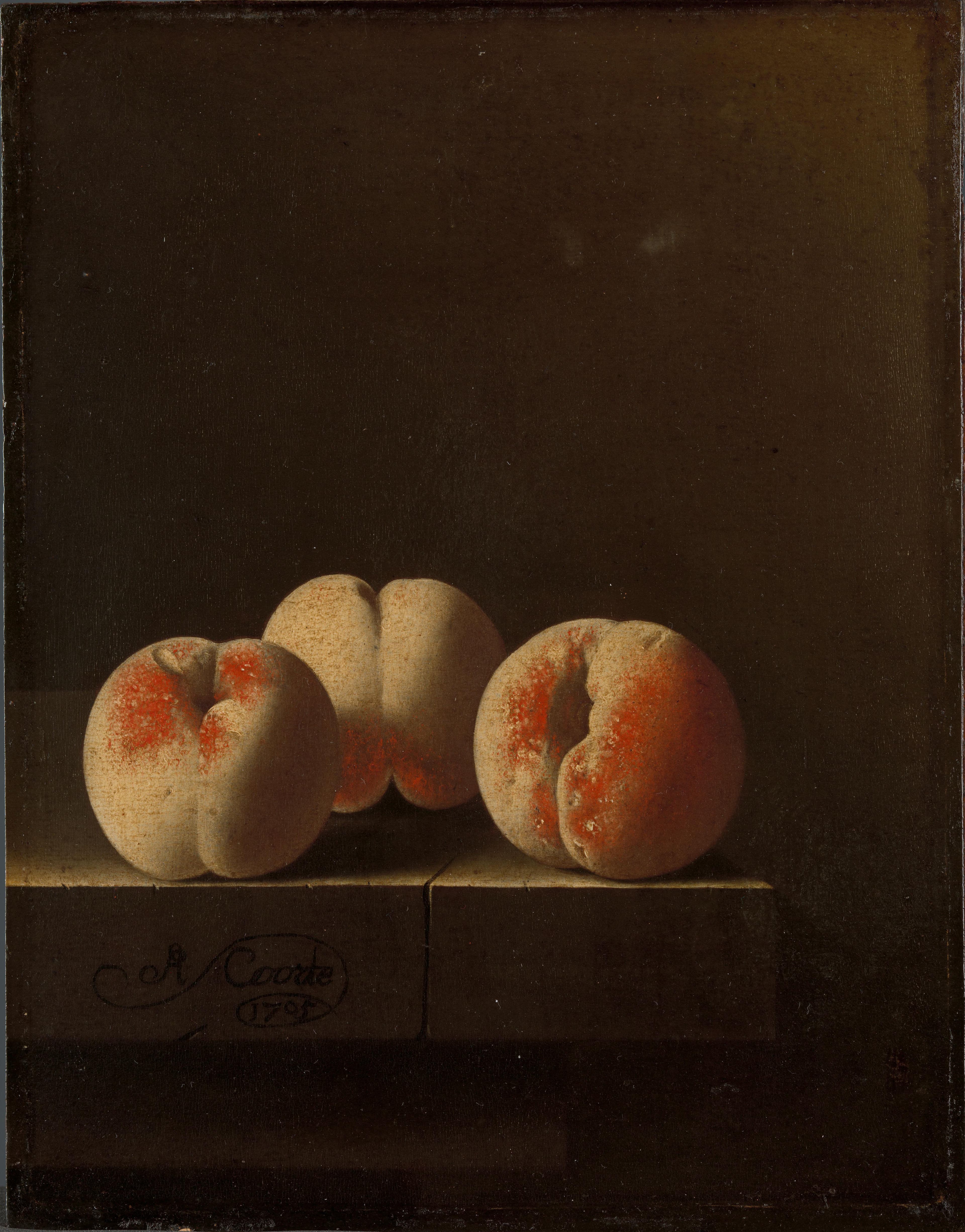 Drie perziken op een stenen plint — Adriaen Coorte