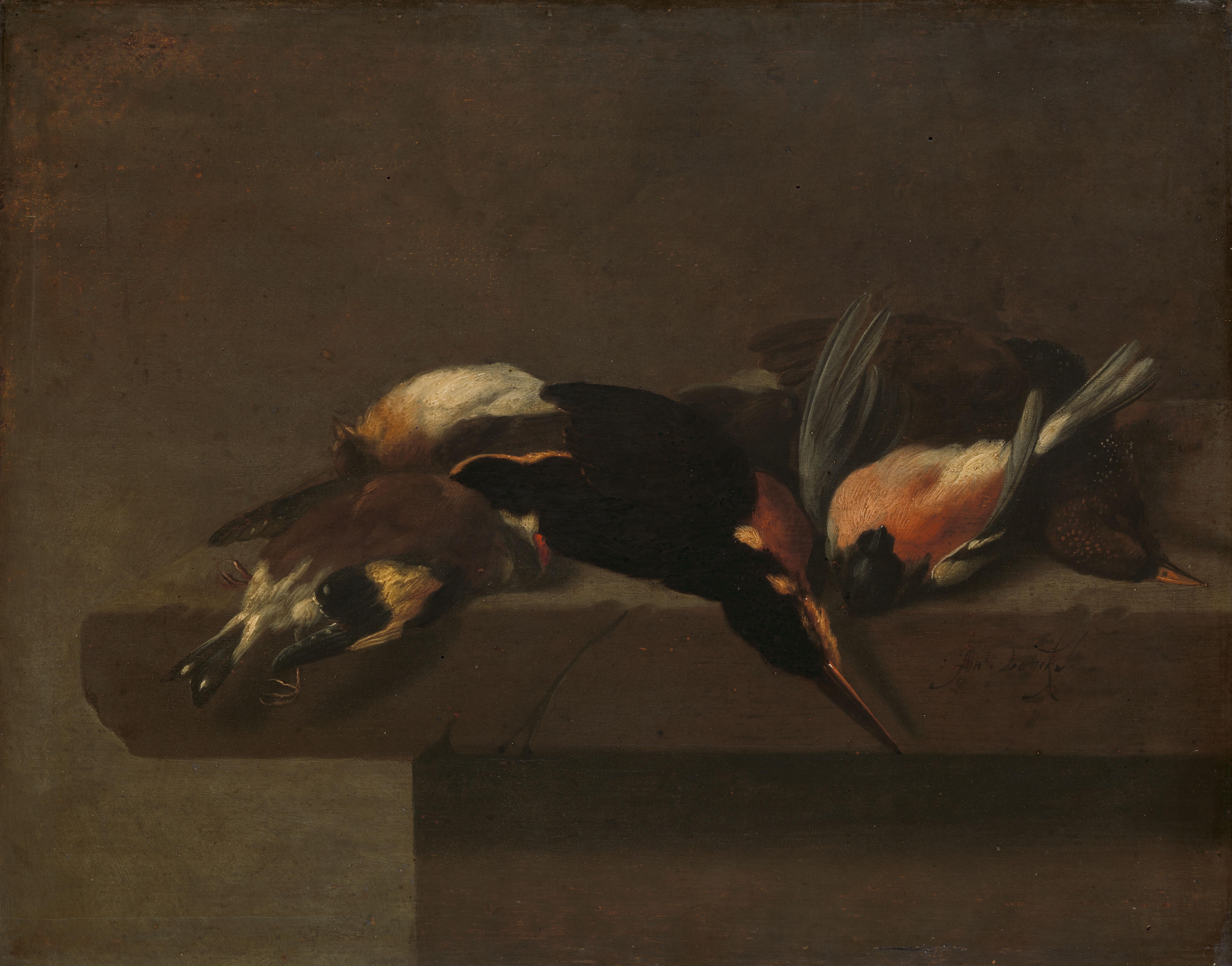 Dead Birds — Jan Vonck
