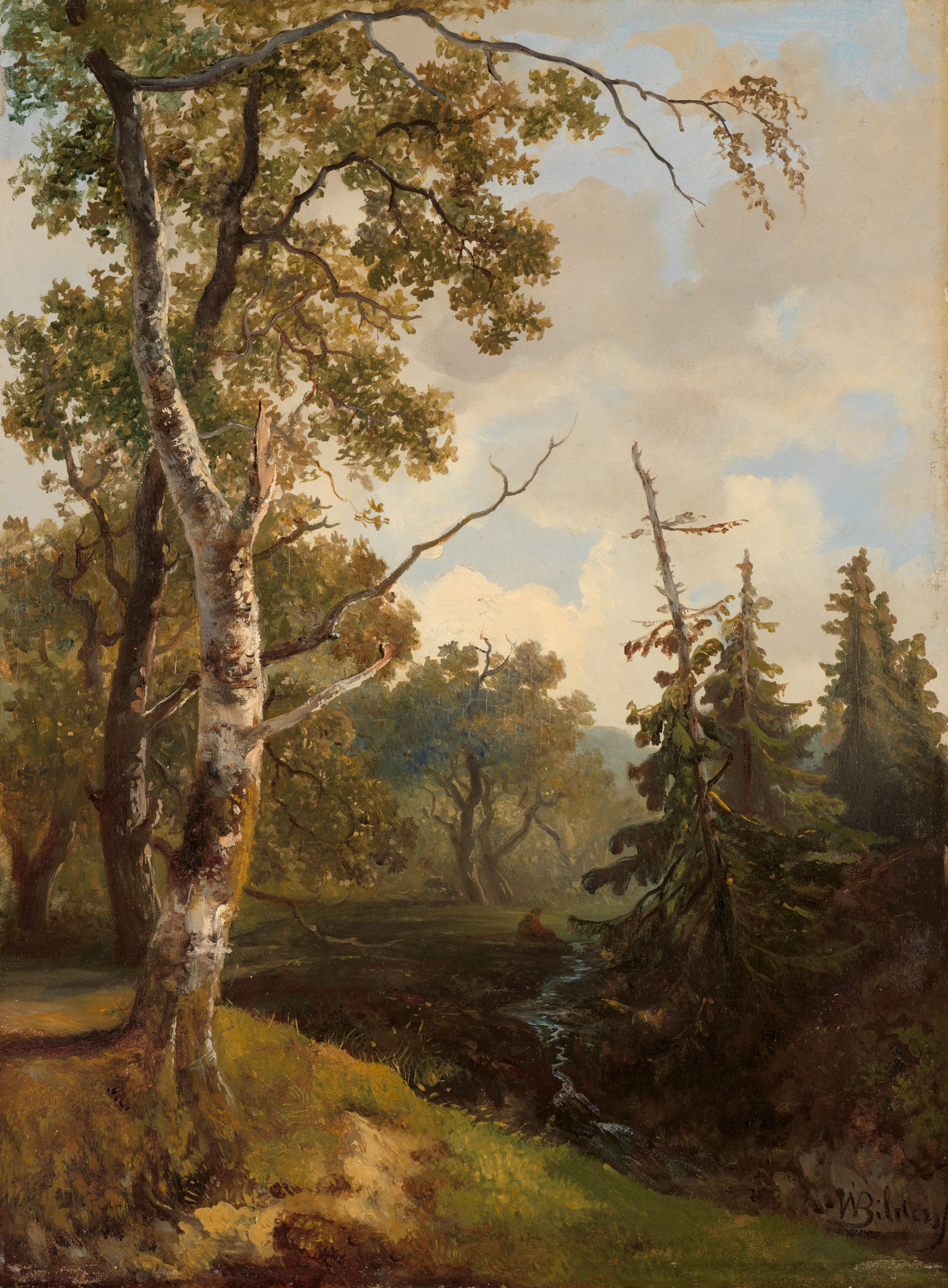 Bosgezicht bij Wolfheze. — Johannes Warnardus Bilders