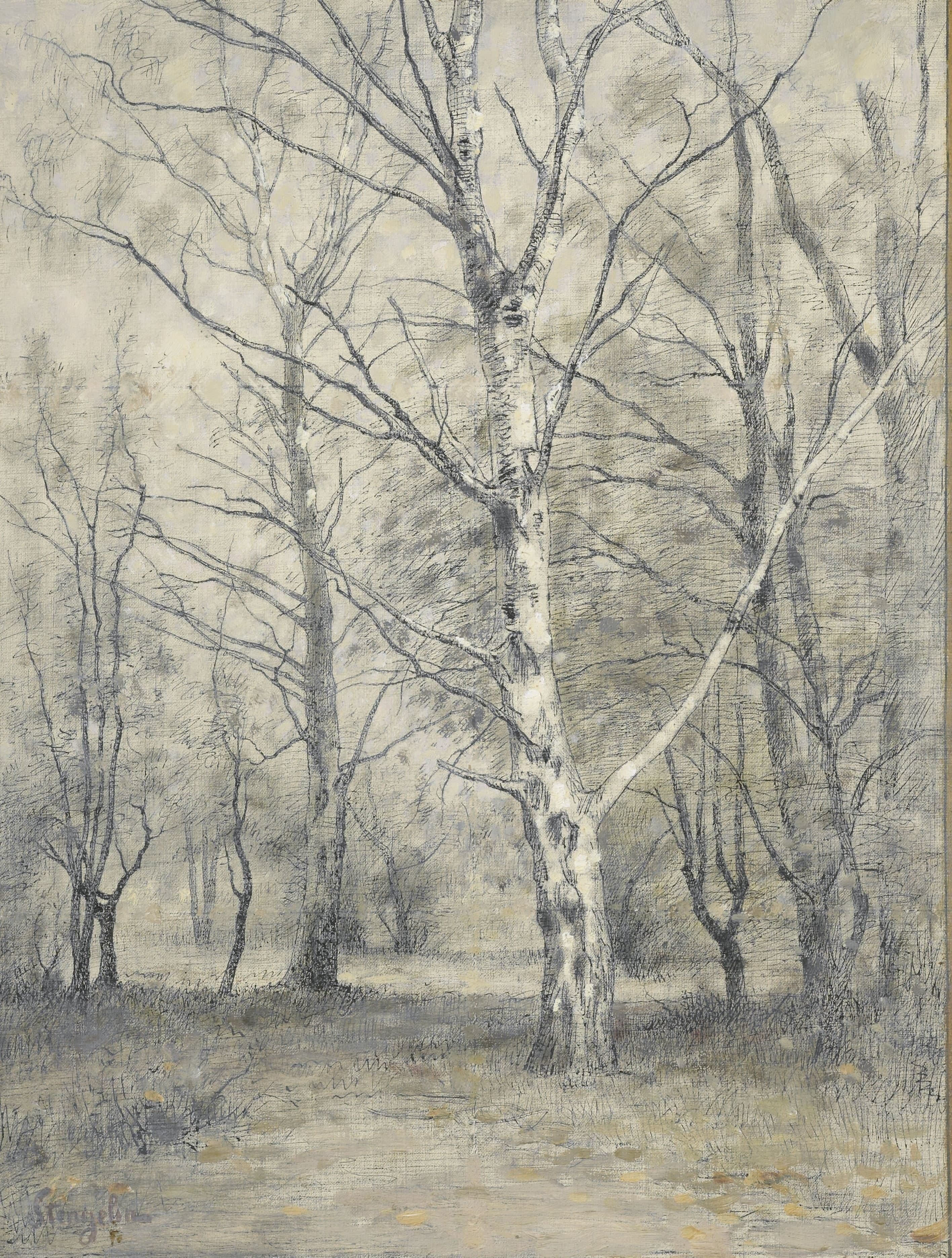 Bos met berkebomen — Alphonse Stengelin