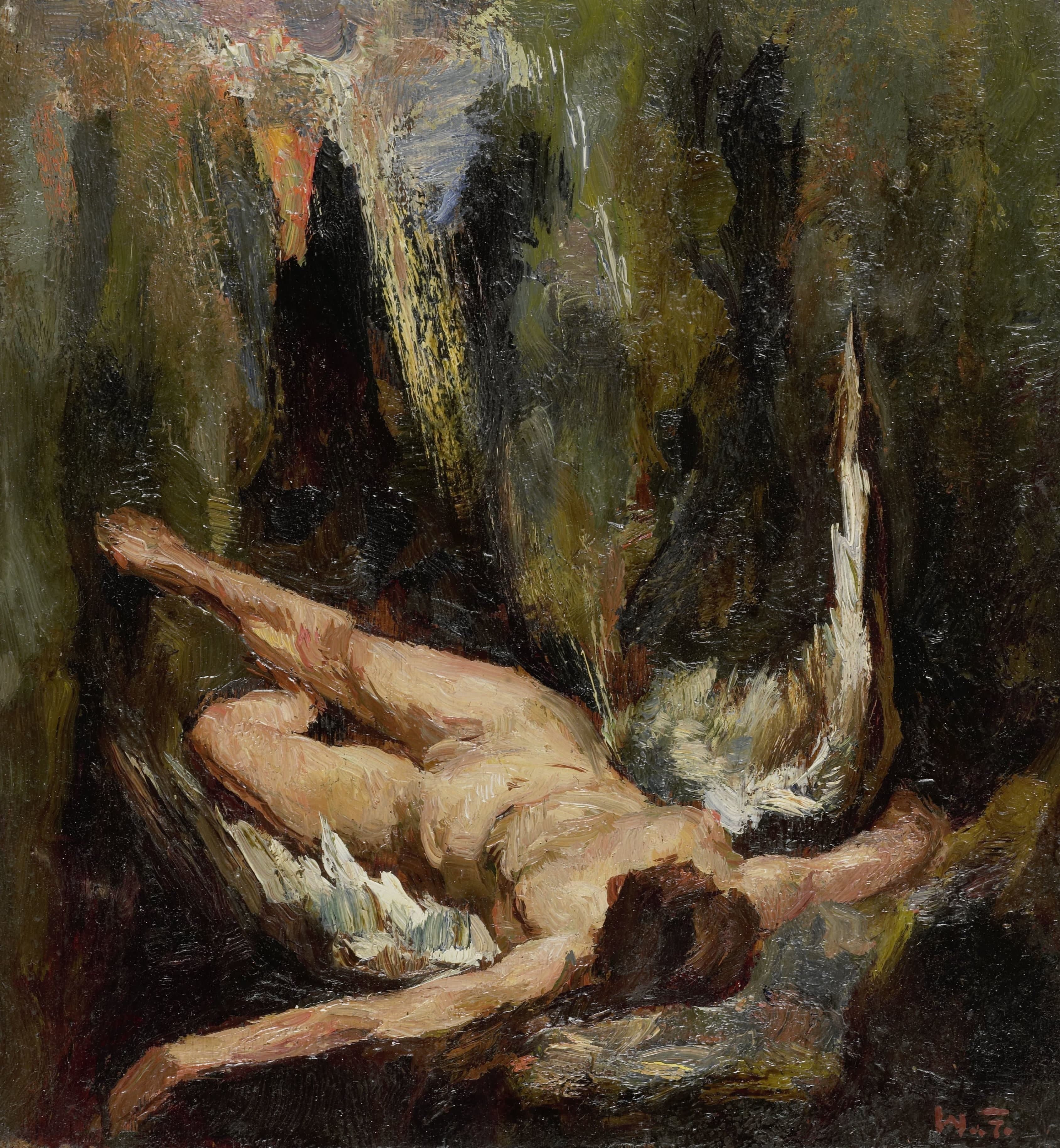 De gevallen engel — Willem de Zwart