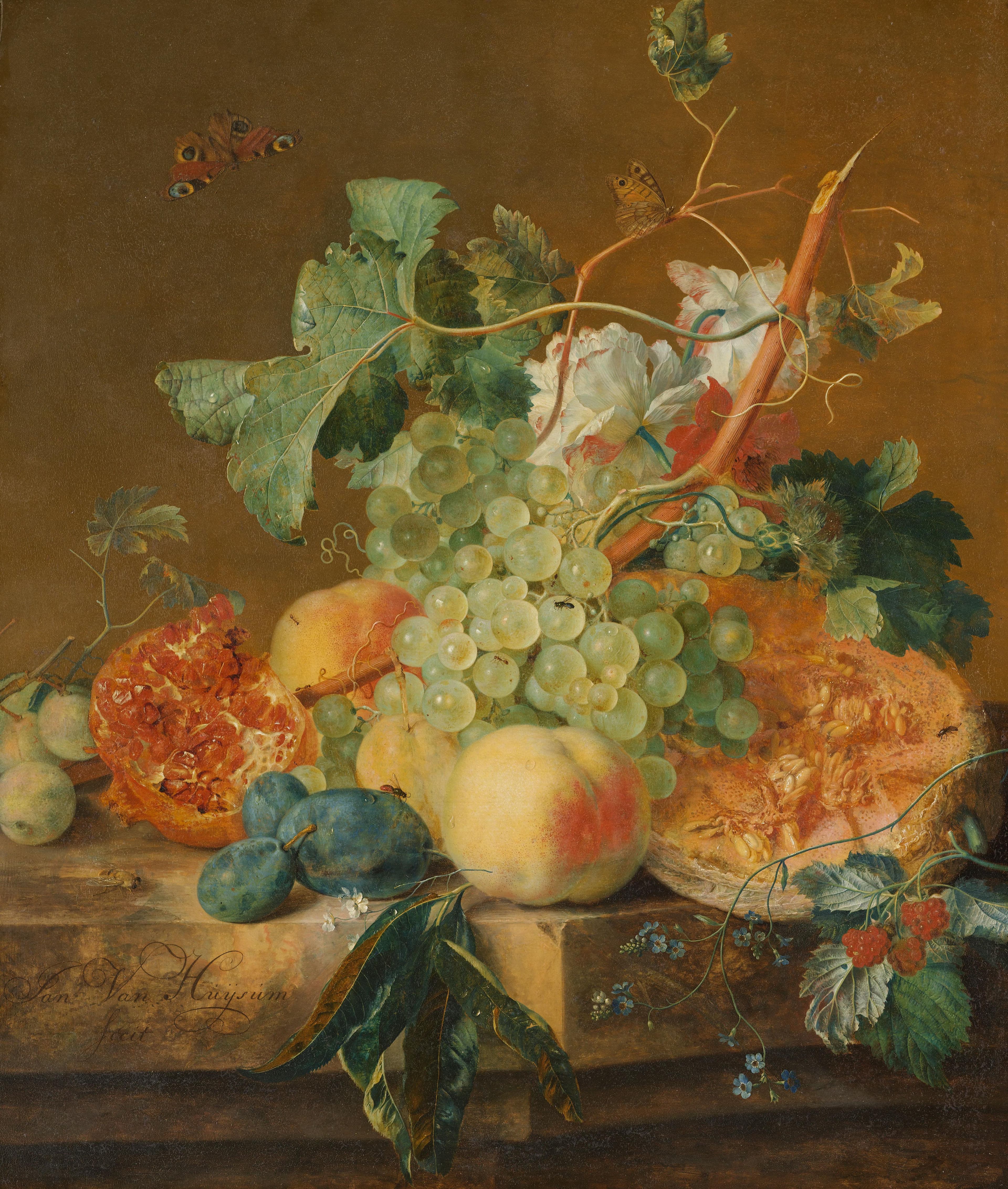 Still Life with Fruit — Jan van Huysum
