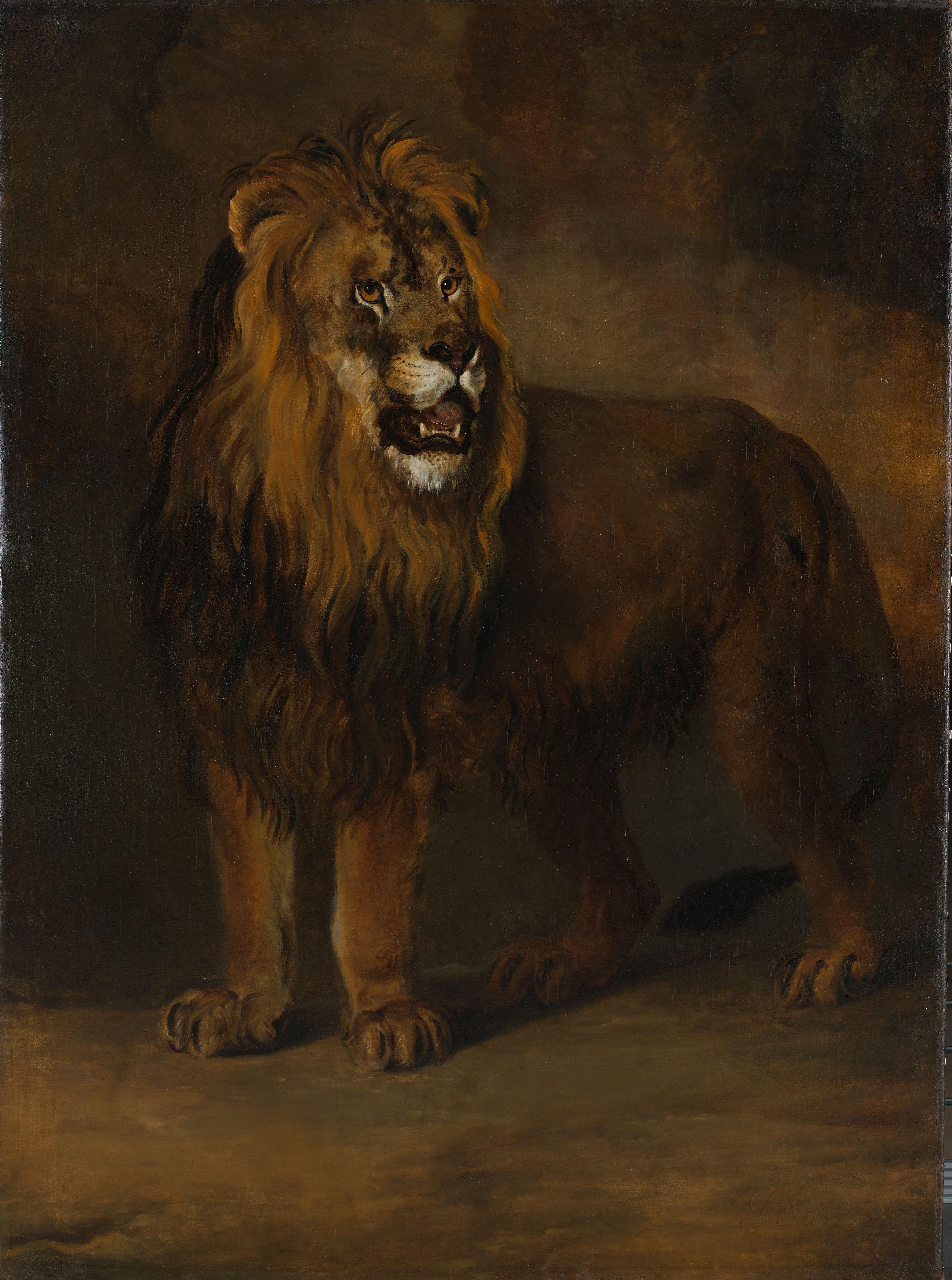 A Lion from the Menagerie of King Louis Napoleon, 1808 — Pieter Gerardus van Os