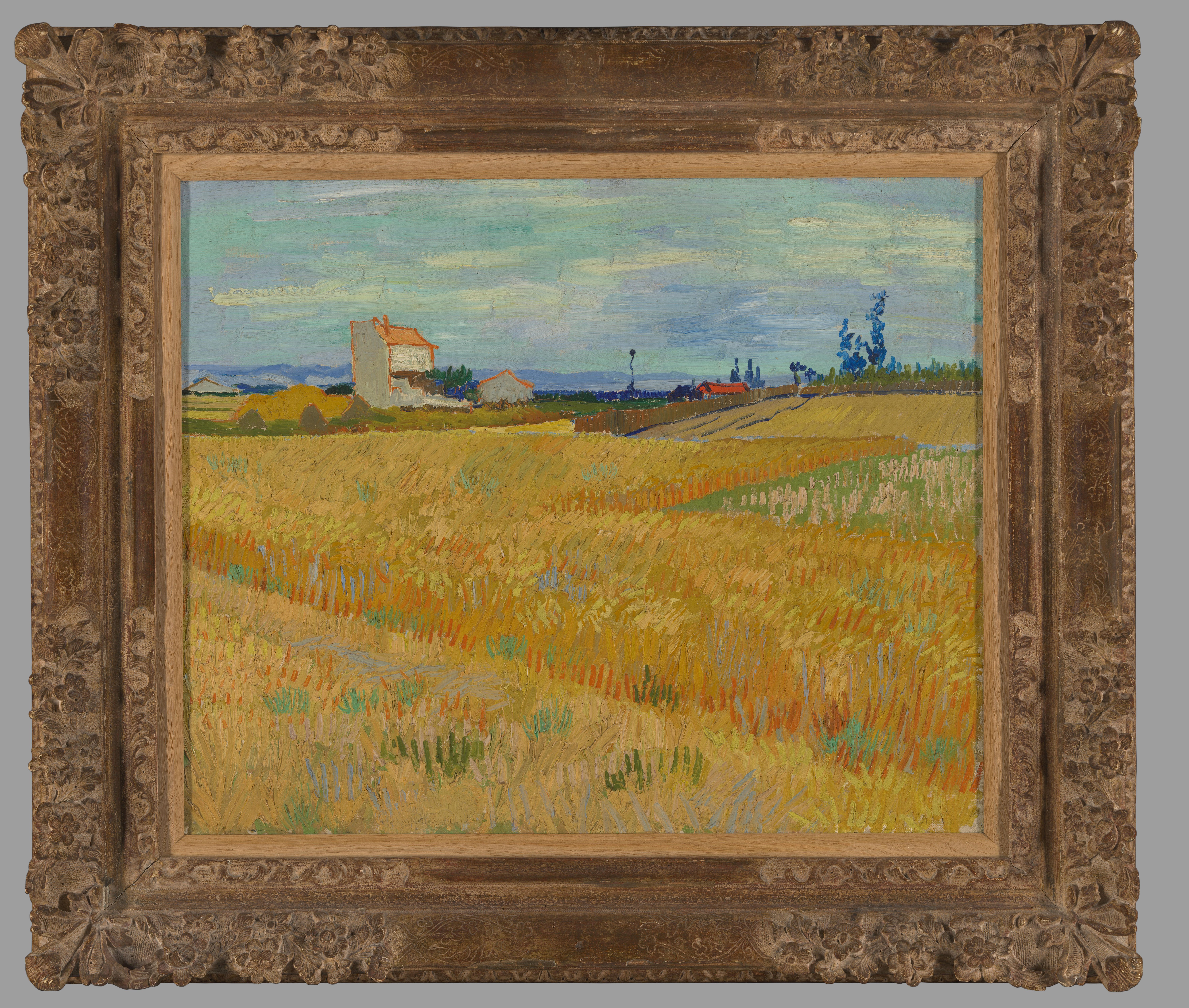 Korenveld — Vincent van Gogh