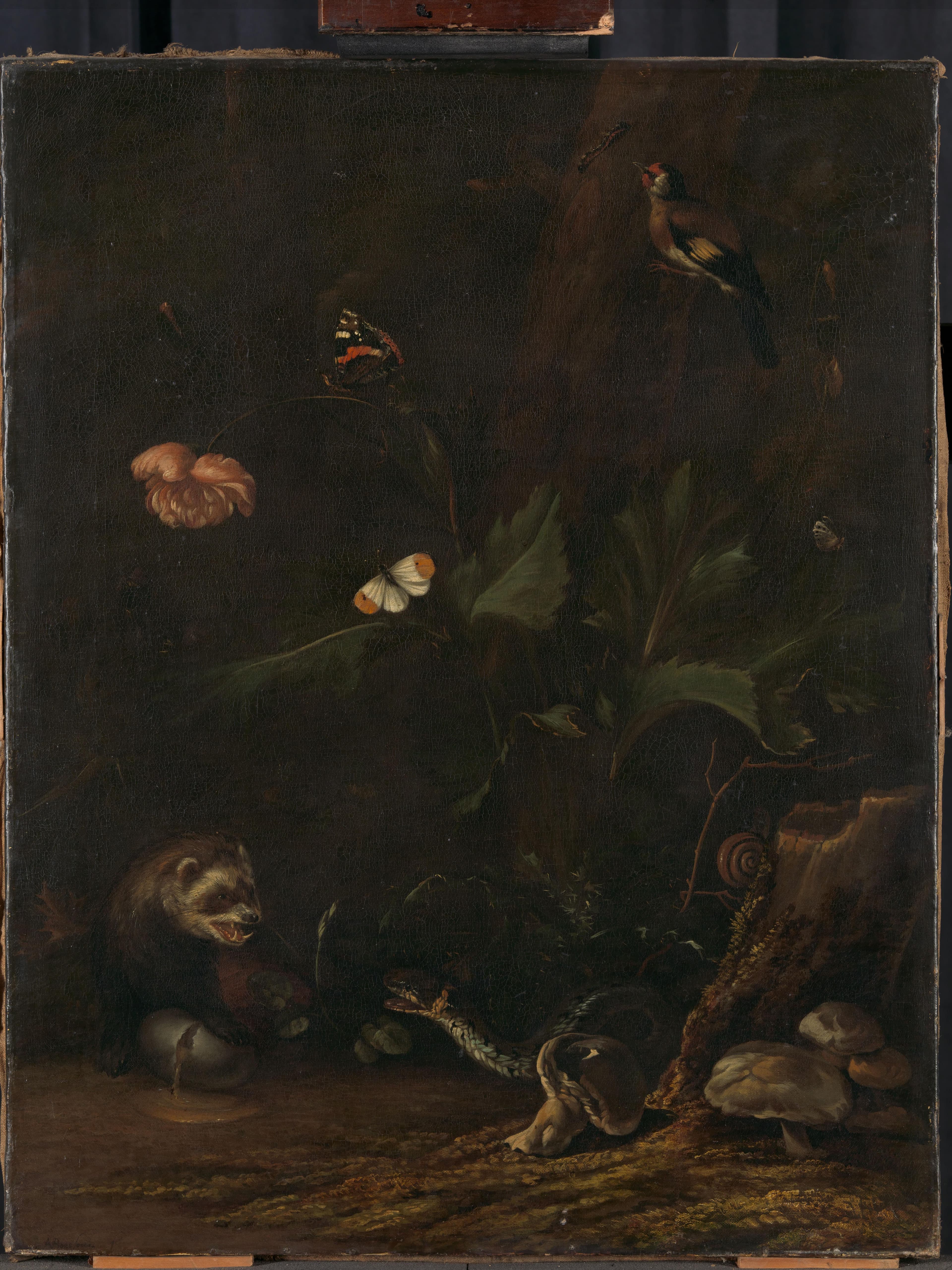 Animals and Plants — Anthonie van Borssom