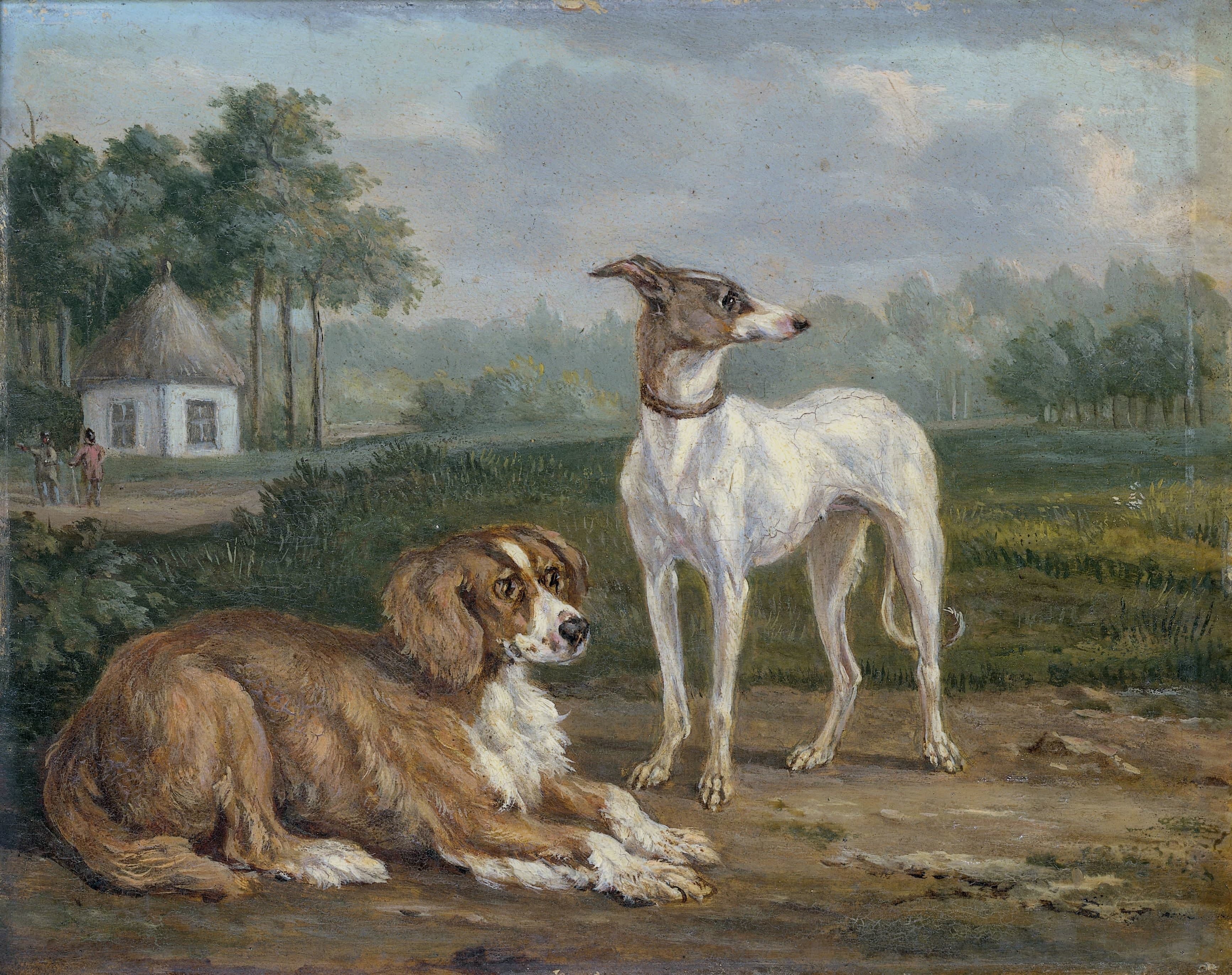 Twee honden — Jan Dasveldt