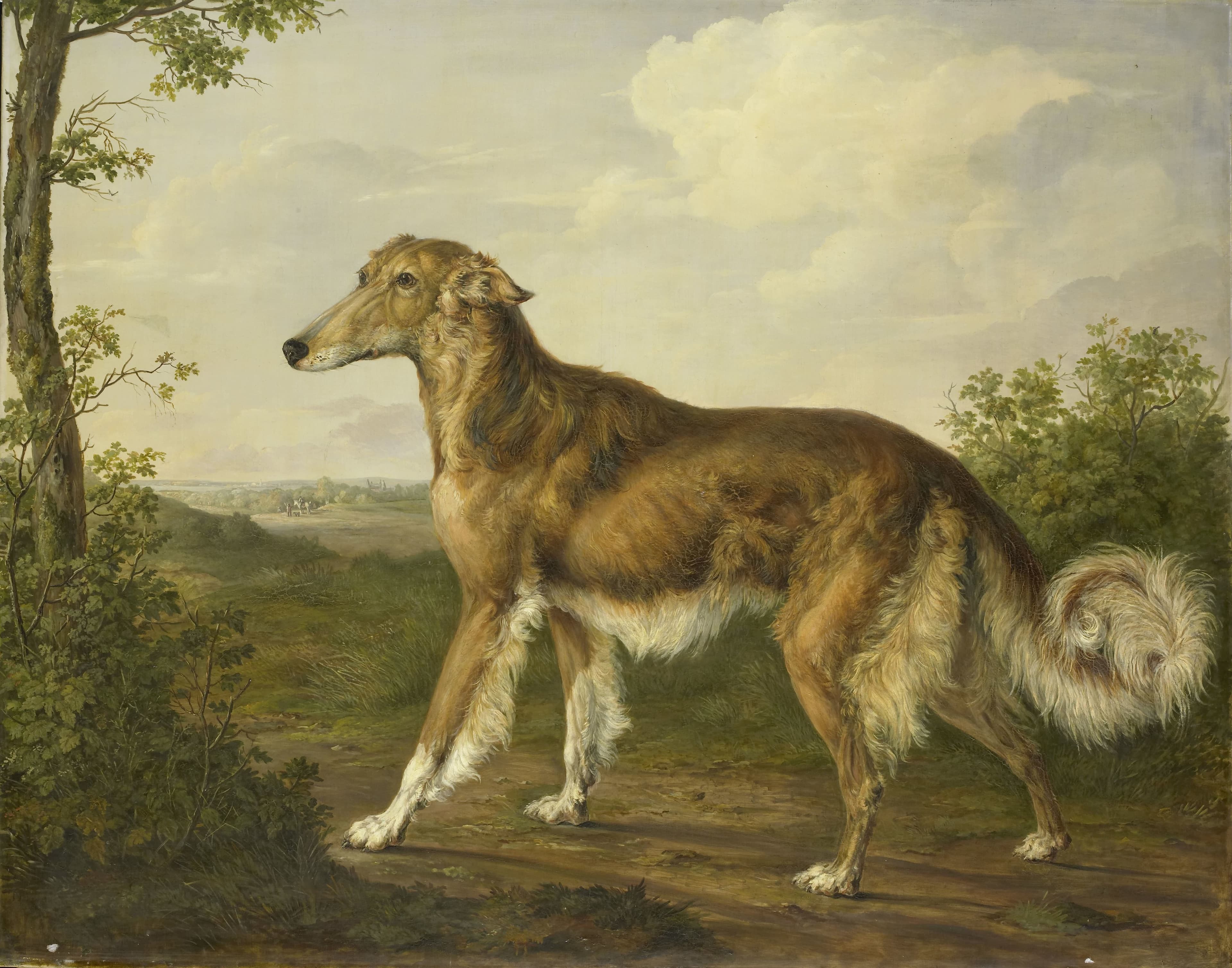 Siberian Greyhound — Jan Dasveldt