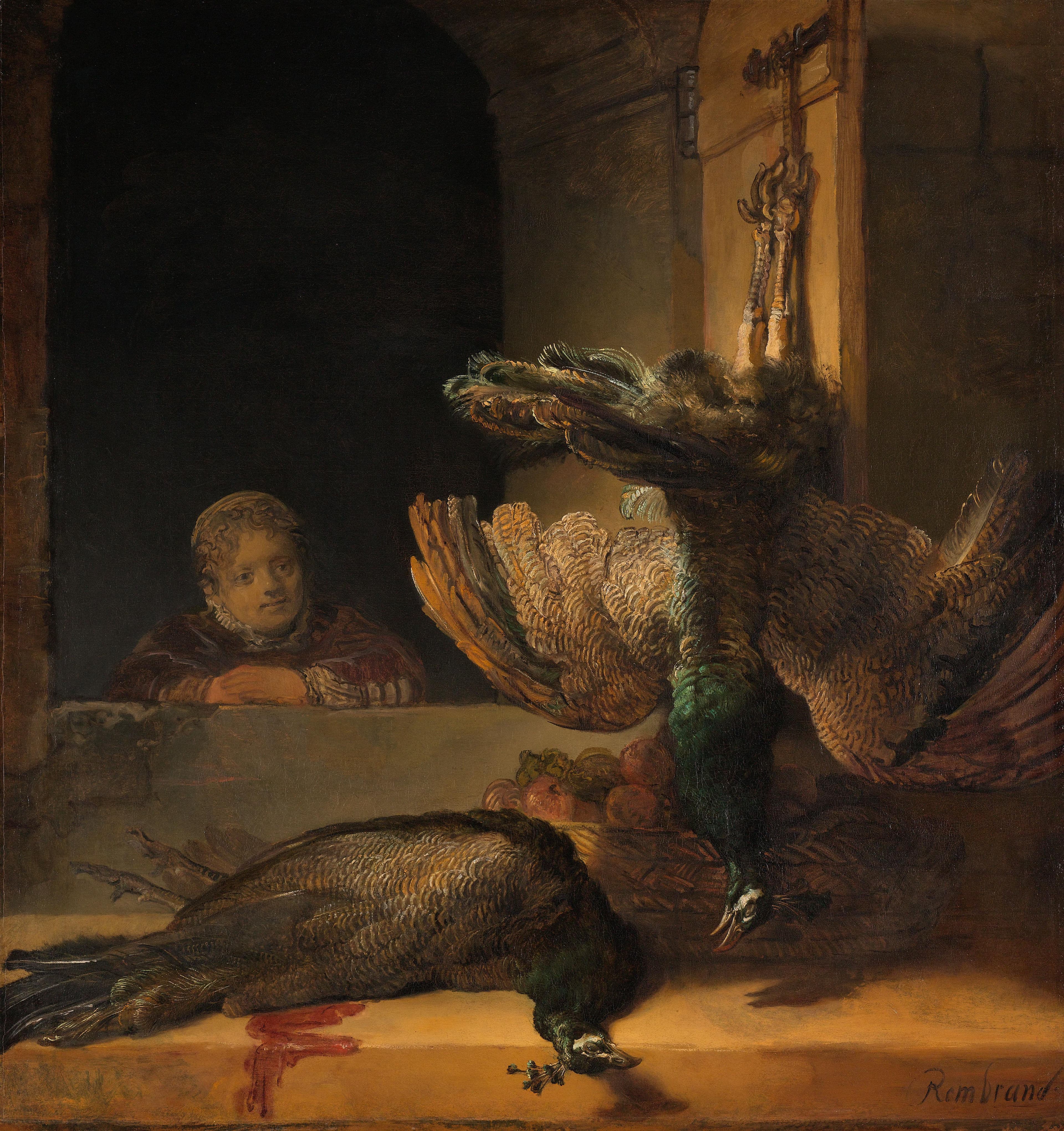 Stilleven met pauwen — Rembrandt van Rijn