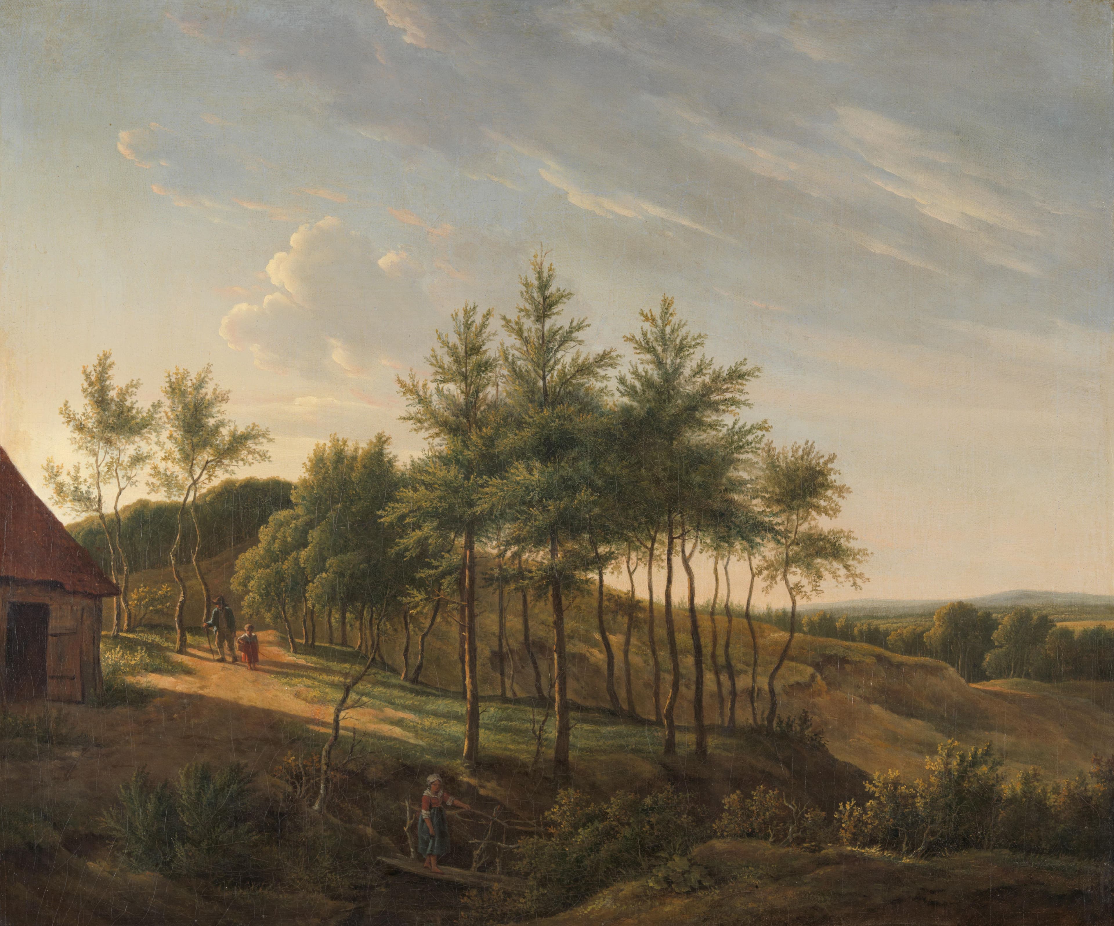 Heuvelachtig landschap — Gerrit Jan Michaëlis
