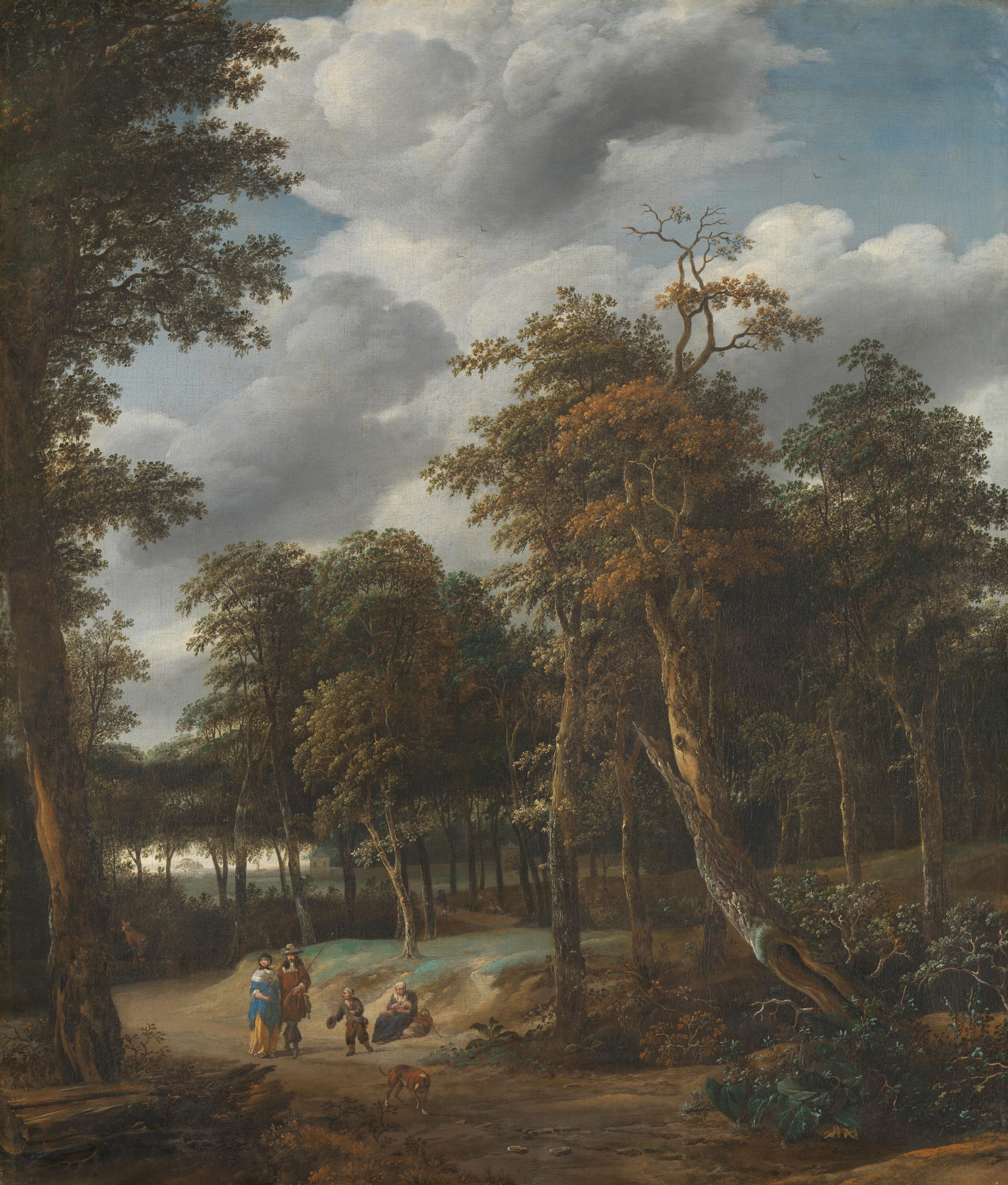 Bosweg — Jan Looten
