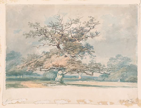 A landscape with an old oak (or beech) tree — Joseph Mallord William Turner