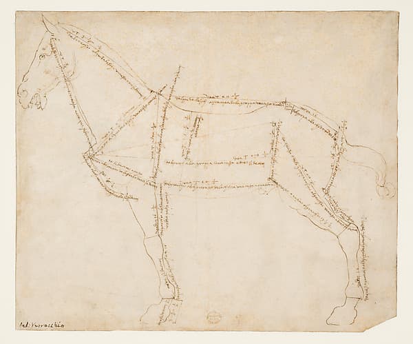 Measured Drawing of a Horse Facing Left (recto) — Andrea del Verrocchio