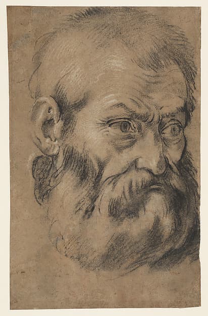 Head of beared man (recto), Study of an apostle (verso) — Giacomo Cavedone