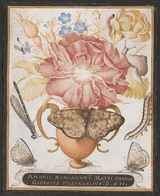 Still Life with Flowers, a Snail and Insects — Joris Hoefnagel