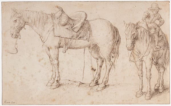 Two studies of a saddled horse and of a horse with a boy astride; verso: Study of a bean plant — Jacques de Gheyn II