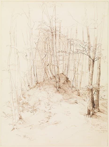 Forest view in the Menterschweige district near Munich — Heinrich Dreber