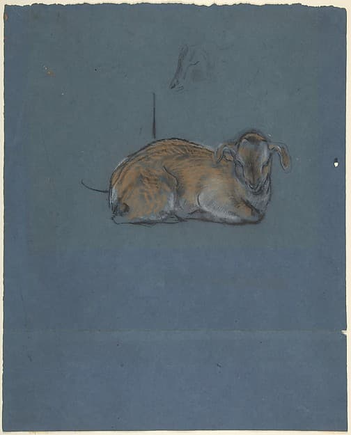 Studies of a young goat — John Macallan Swan