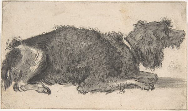 A Dog — Cornelis Saftleven