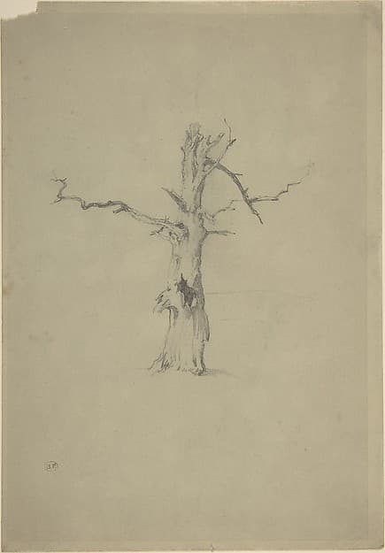 Study of a Dead Tree — Myles Birket Foster