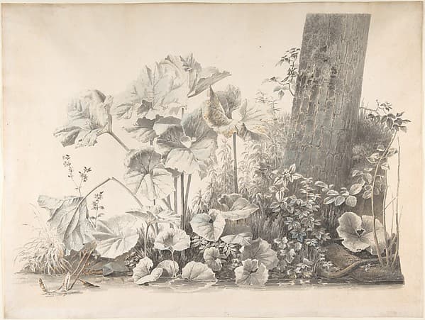 Burdocks, Campions and Brambles by a Treetrunk on a River Bank — Josephus Augustus Knip