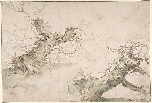 Studies of Two Pollard Willows; Verso: Wide Landscape Prospect — Abraham Bloemaert