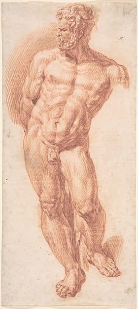 Standing Male Nude — Denijs Calvaert