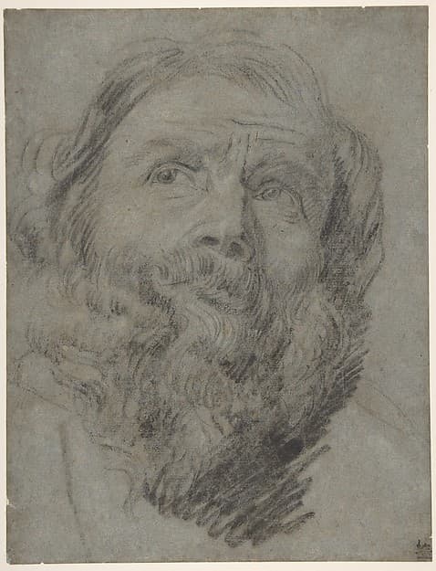 Head of an Apostle — Anthony van Dyck