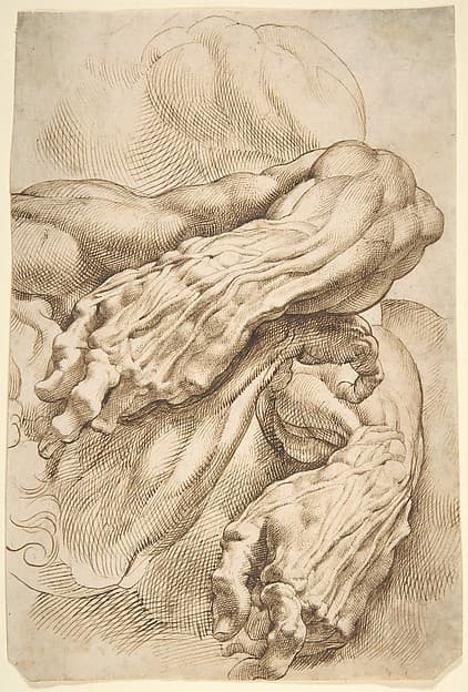 Anatomical Studies: a left forearm in two positions and a right forearm — Peter Paul Rubens