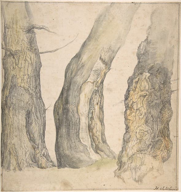 Study of Three Old Gnarled Trees — Jan Siberechts