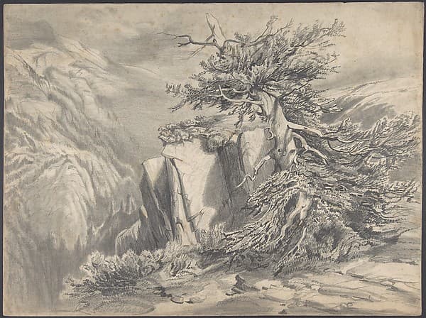 Broken Tree in  Moutainous Landscape — Alexandre Calame