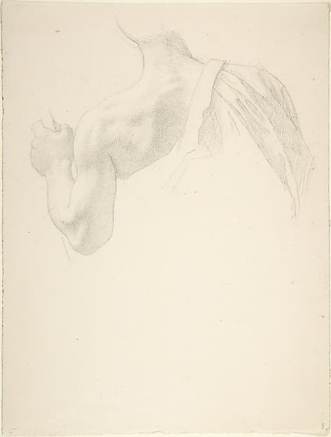 Left Arm and Shoulders of a Man Seen from the Back — Johann Friedrich Overbeck