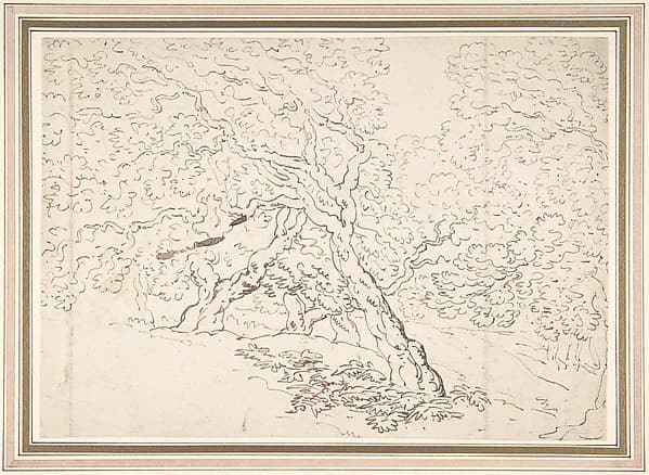 Study of trees — Thomas Rowlandson