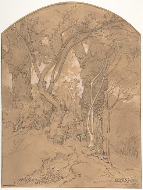 Trees in a Forest — Edouard Bertin