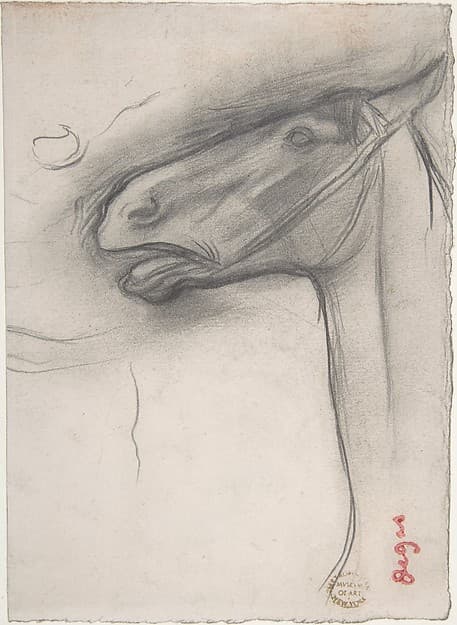 Head of a Horse — Edgar Degas