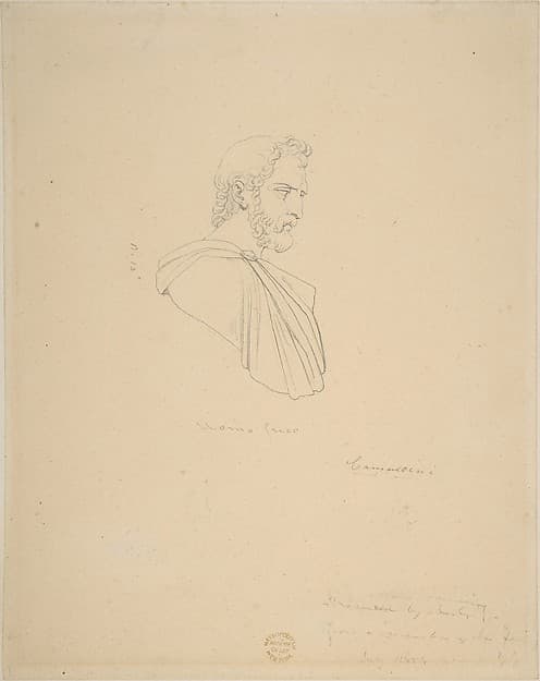 Classical Bust of a Bearded Male Seen in Profile — Vincenzo Camuccini