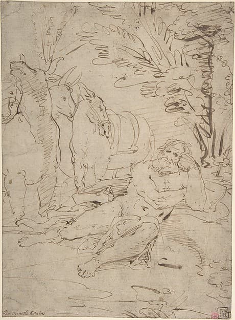 Unidentified Subject:  Reclining Nude Male Figure and Cattle — Giovanni Angelo Canini