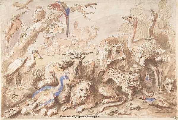A Congress of Animals — Giovanni Francesco Castiglione