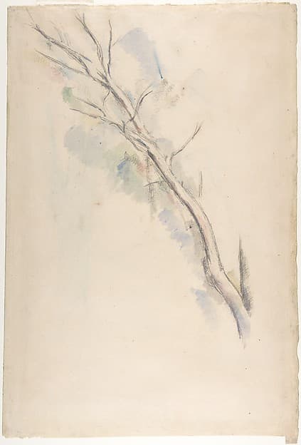 Studies of a tree (recto and verso) — Paul Cézanne