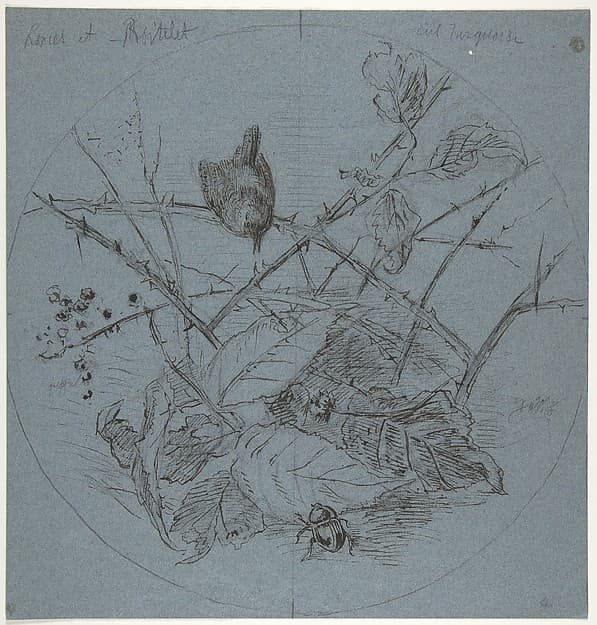 Design for a Plate — Karl Bodmer