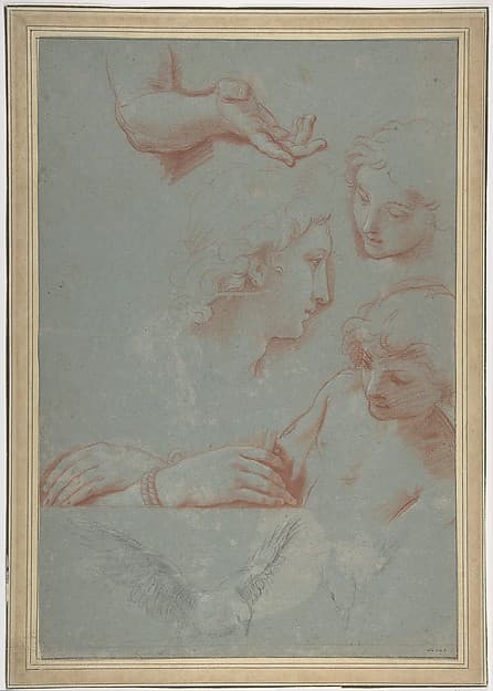 Sheet of Studies: Heads, Hands, and Doves — Luigi Garzi