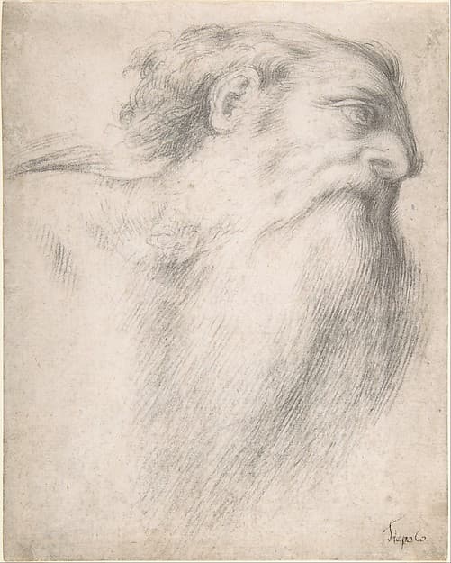 Head of a Bearded Man — Lorenzo Lotto